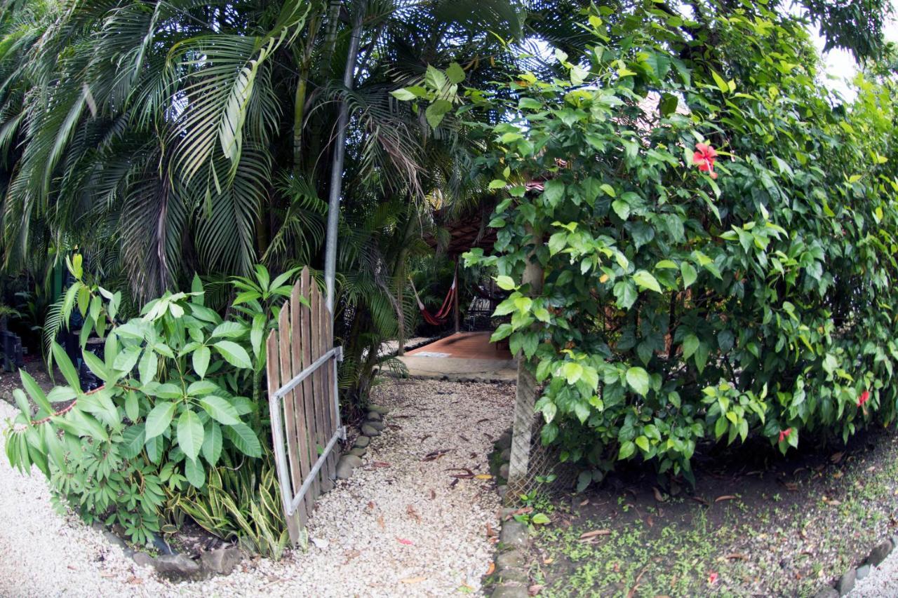 Disfrutalo Hotel Playa Santa Teresa  Exterior foto